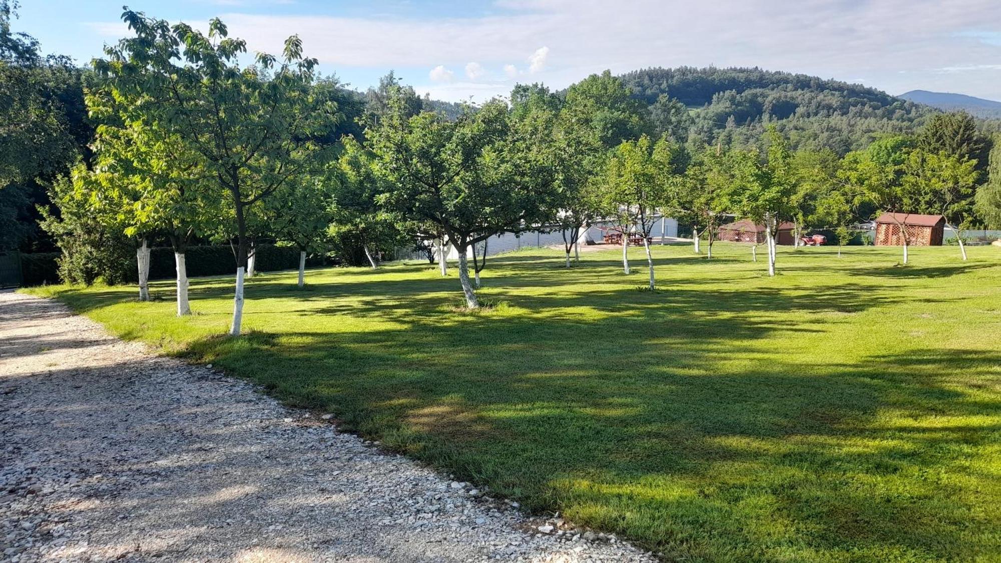 Orzechowka Lądek-Zdrój Exterior foto